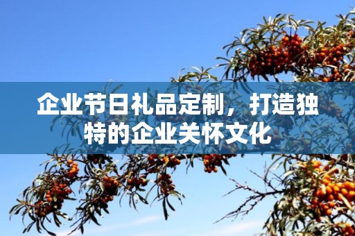 企业节日礼品定制，打造独特的企业关怀文化